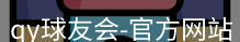qy球友会